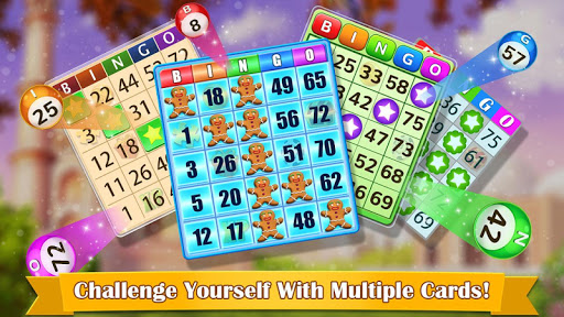 Bingo Hero Offline Bingo Games apk download for android  1.2.8 screenshot 1