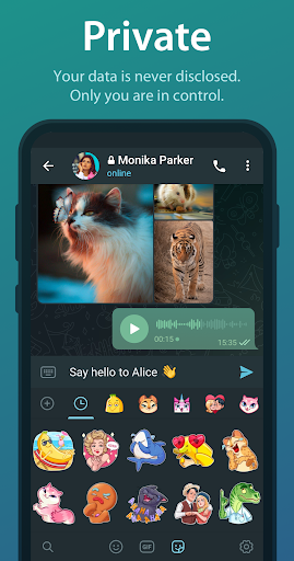 Telegram 10.0.8 Apk Download for Androidͼ3