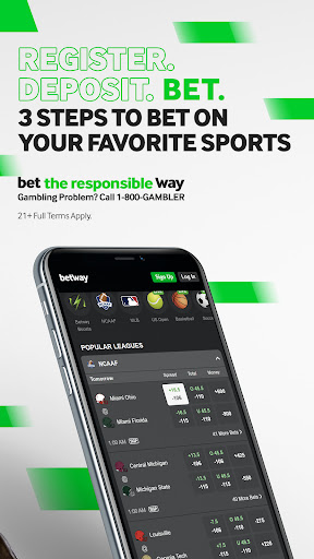 Betway Sports & Live Casino Apk  1.0 screenshot 4