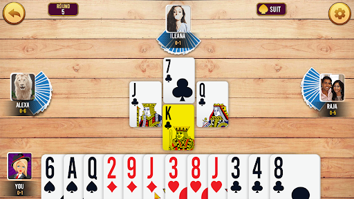 Callbreak Offline Tash Game download  1.1 screenshot 3