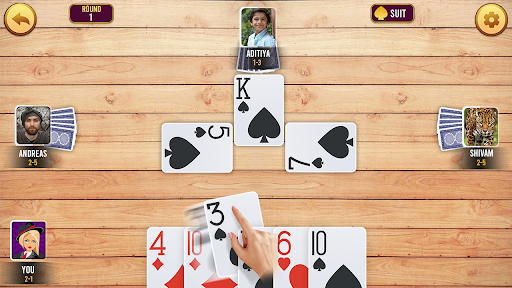 Callbreak Offline Tash Game download  1.1 screenshot 4