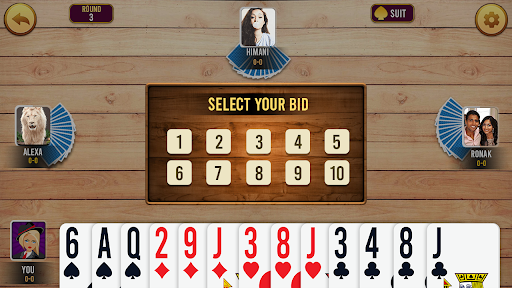 Callbreak Offline Tash Game download  1.1 screenshot 2