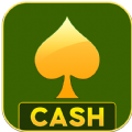 PlayRummy-RealCashGame apk