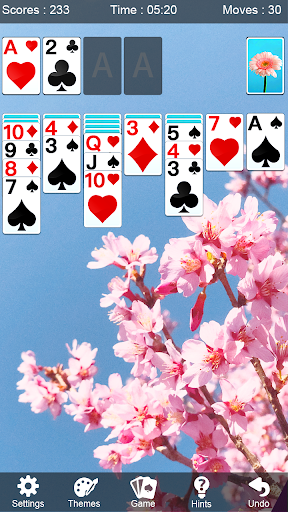 Solitaire game  1.0.0 screenshot 4