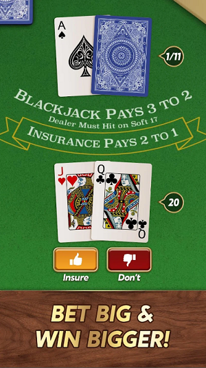 Blackjack Online Free Download  2.01.00 screenshot 4