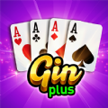 Gin Rummy Plus Fun Card Game