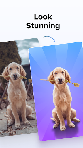 PhotoRoom AI Photo Editor mod apk downloadͼƬ1