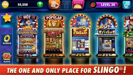 Slingo Arcade Slots & Bingo Apk Download for Android  23.16.2 screenshot 3