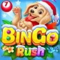 Bingo Rush Club Bingo Games Ap
