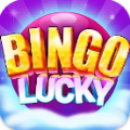 Bingo Lucky Play Bingo Games M