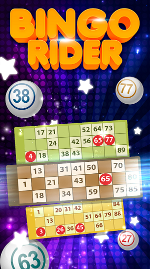 Bingo Rider Casino Game Apk Free Download  6.0.3 screenshot 2