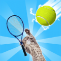 Tennis Cat Funny Meme Cat