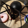 Bug Buster Spider Games