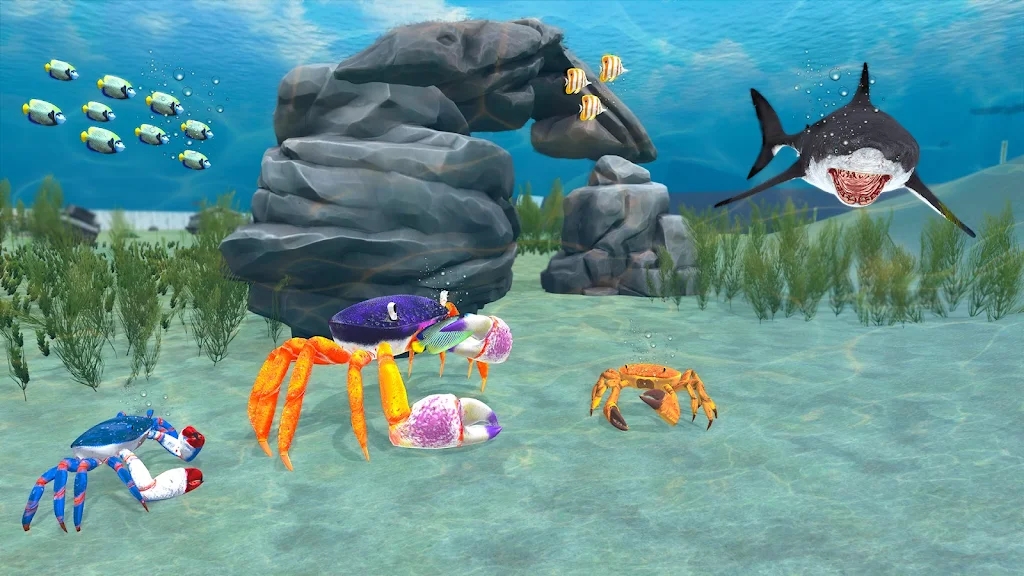 Crab island war evolution apk download for android  1.0 screenshot 3