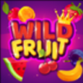 Wild Fruit Slots Apk Download