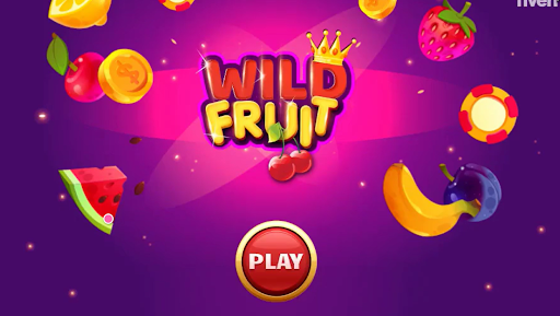 Wild Fruit Slots Apk Download Latest Version  1.0 screenshot 1
