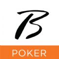 Borgata Poker & Texas Hold Em