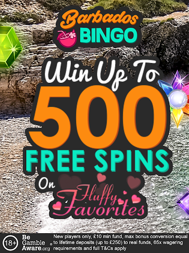 Real Money Bingo & Casino apk download for android  10.version_code_update screenshot 1
