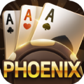 Phoenix Game Aurora Sunny