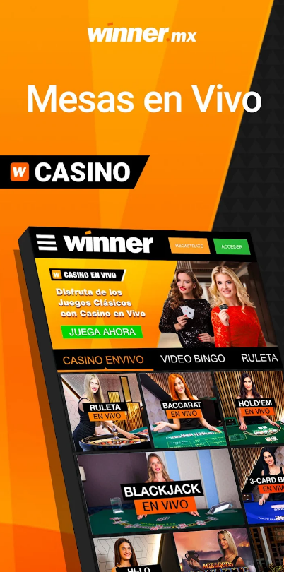 Winner Casino Apk Download Latest Version  166.0 screenshot 1