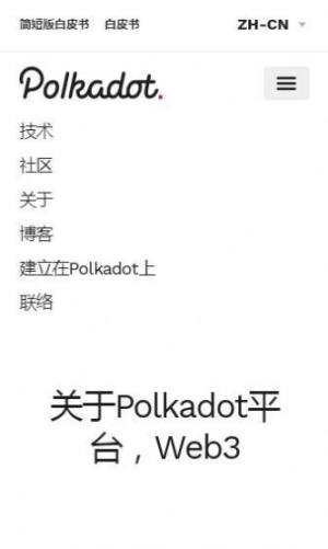 Polkadot Wallet app address Download androidͼƬ3