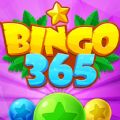 Bingo 365 Offline Bingo Game