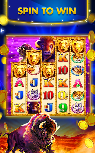 Big Fish Casino mod apk unlimited chips  17.0.4 screenshot 5