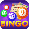 Bingo Arena Bingo Games Apk Do