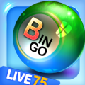 Bingo City 75 Bingo & Slots Ap