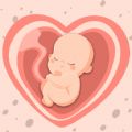 HiMommy Pregnancy Tracker App download latest version 7.7.0