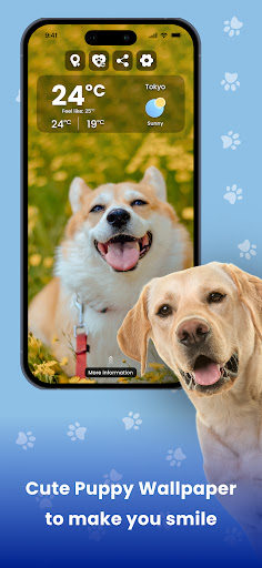 Weather Dog Check Temperature mod apk premium unlockedͼƬ1