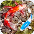 Fish Tank Live Wallpaper mod apk latest version  5.10.4