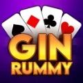 Gin Rummy Elite Joker Gin