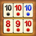 Rummy 4 in 1 Board Game apk