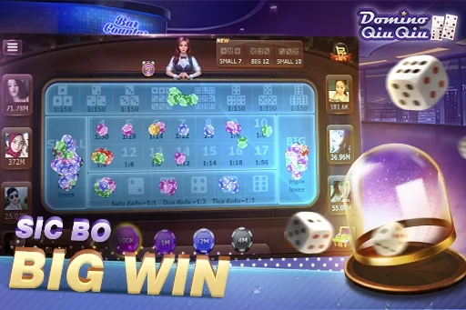 TopFun Domino QiuQiu 99 KiuKiu mod apk download  2.5.5 screenshot 2