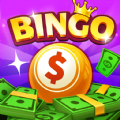 Bingo Lucky Win Cash Apk Downl