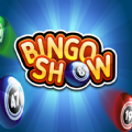 Bingo Show Apk Download Latest