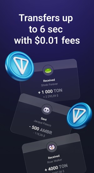 TON Wallet app official download latest versionͼƬ1