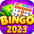 Bingo Live Online Bingo Games
