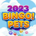 Bingo Pets Summer bingo game M