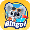Bingo Dice Apk Download for An