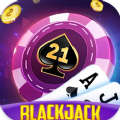 Blackjack 21 Casino Game 2024