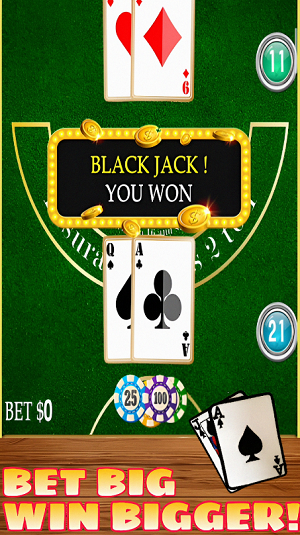 Blackjack 21 Casino Game 2024 Apk Download for Android  1.0.0 screenshot 2