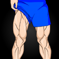 Leg Workouts Exercises for Men