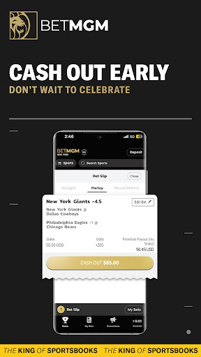 BetMGM Online Sports Betting app download latest version  v23.10.20 screenshot 1