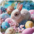 Cute Easter Wallpapers 2024 app free download for android 1.0.3
