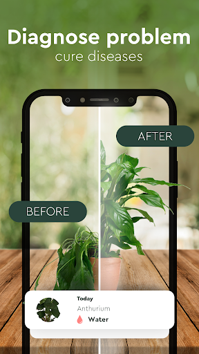 Nature Detect Plant Identify app free download for androidͼƬ1