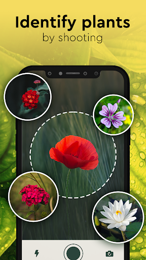 Nature Detect Plant Identify app free download for android  2.1 screenshot 5