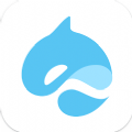 Surf Wallet App Download for A