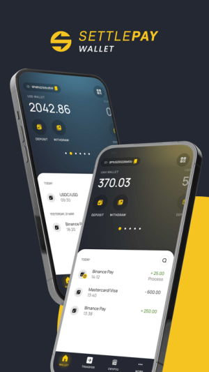 SettlePay Wallet App Download for AndroidͼƬ1